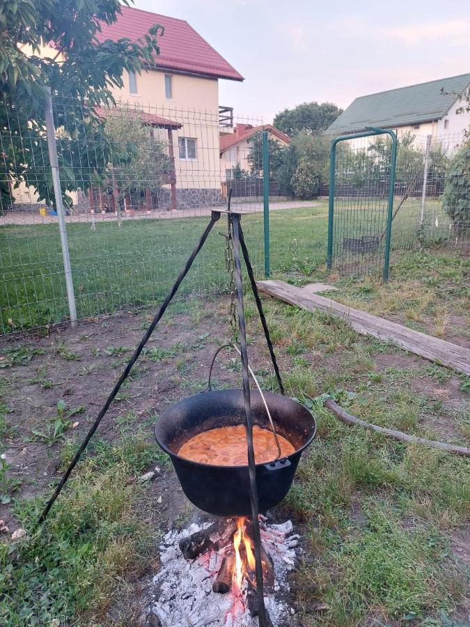 Casa Costache *