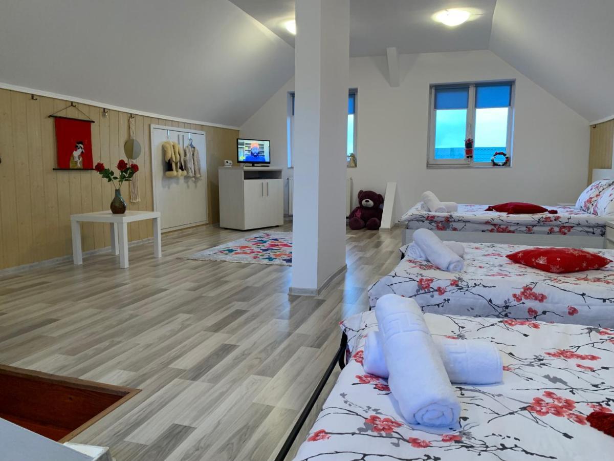 Casa Costache 度假居 Braşov