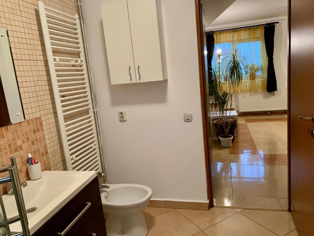 Casa Costache *